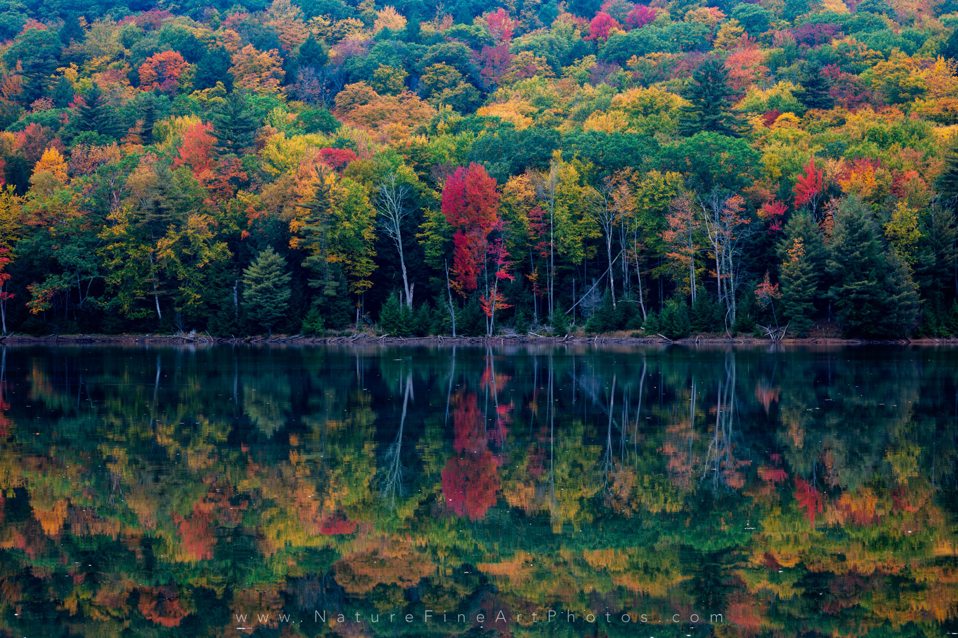 colorful fall photography