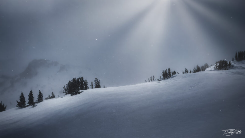 Endless Winter - Mammoth Mountain Photo