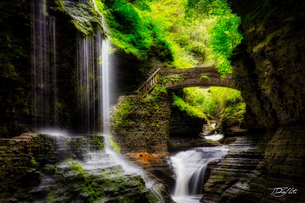 The Ethereal Watkins Glen Photo