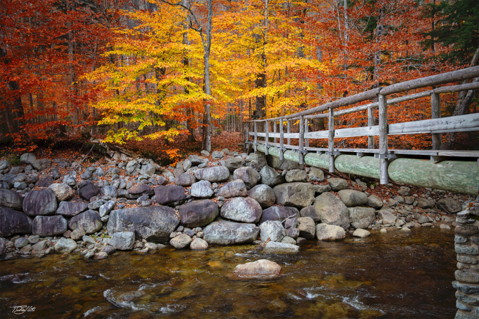 Adirondack Mountain Reserve Ausable River Photo