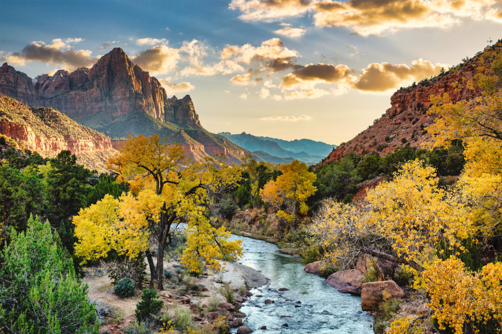 Zion Fall Foliage Photo